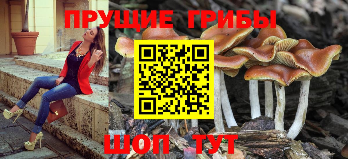 Галлюциногенные грибы ЛСД  Вход с VPN  Бор 
